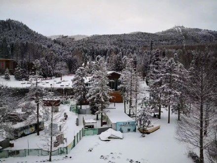 武陵山|武陵山国家森林公园今日复开园