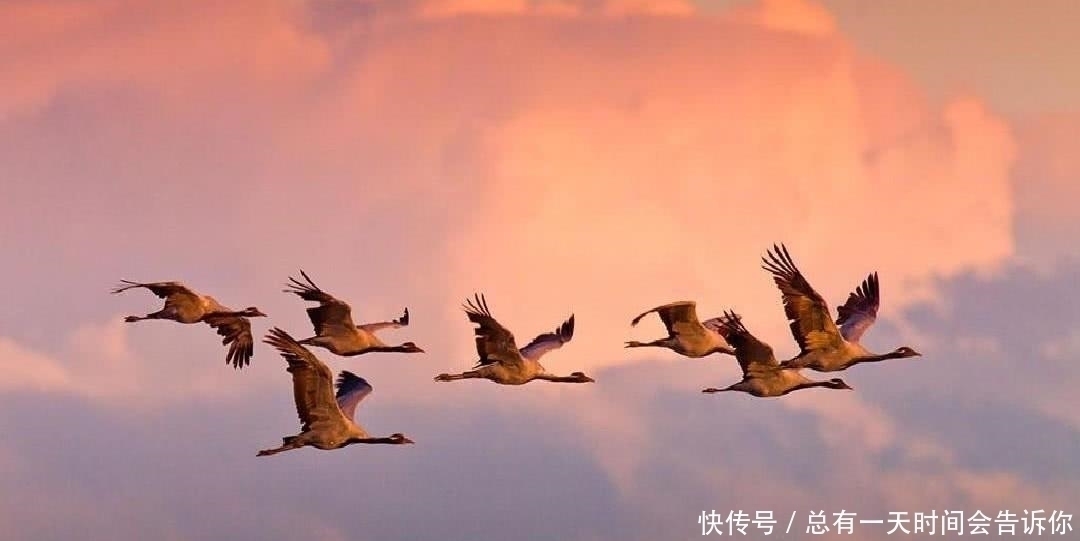 苏轼#苏轼一名句比喻精妙,辛弃疾不服,写出意思相反之句,亦流传千古