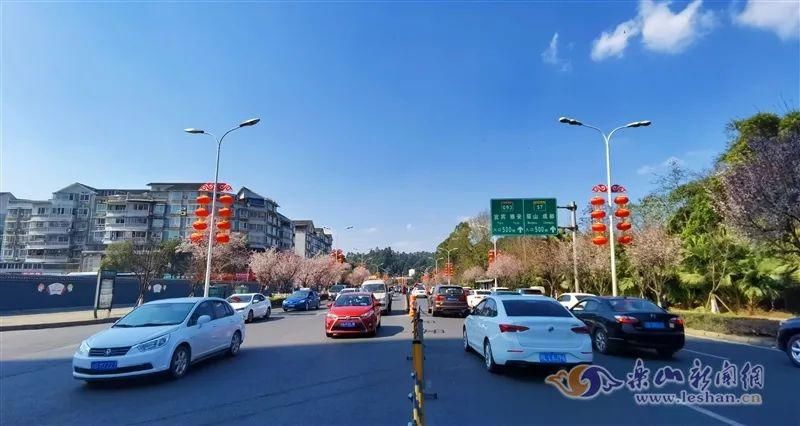 中年|春暖花开！乐山这些街道的紫叶李盛放啦