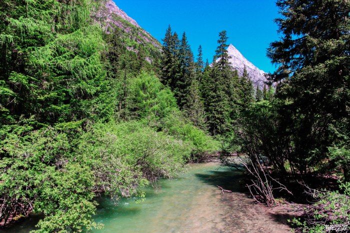 枯树滩|东方圣山，户外天堂——四姑娘山自驾徒步之旅