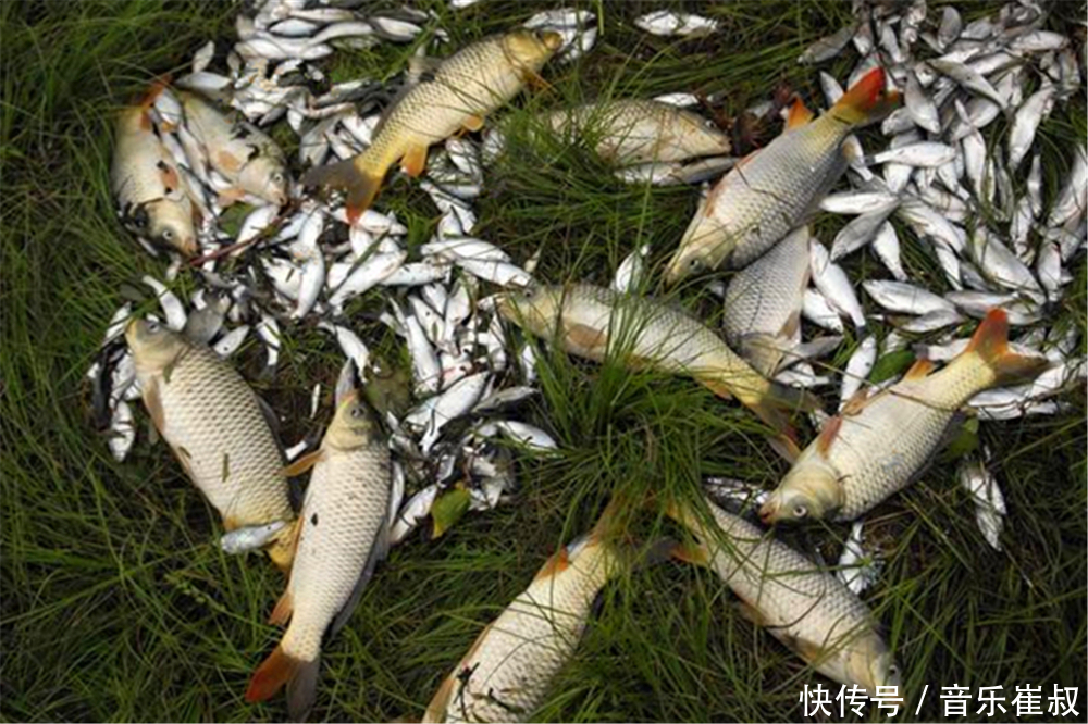 传统钓粗线大钩常被“嘲讽”,事实证明,真正会用的渔获大又多