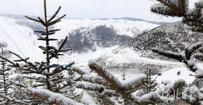 河北张家口：崇礼春雪