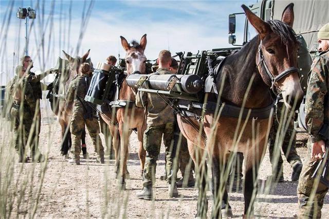 大刀|关羽大刀80斤李元霸大锤数百斤,古代兵器为何那么重