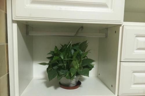 新房|新房木工活完工验收,只是在阳台做了个换季鞋柜竟引得邻居纷纷效