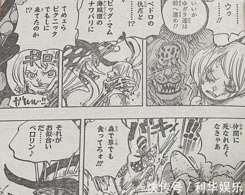 海贼王|海贼王1006话:小马哥被烬斩落翅膀,豹五郎释放“生命归还”