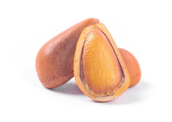 调理|既能润肠通便,又能润肺调理咳嗽,一味药食同源的中药材