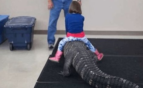 客厅|午睡起来发现女儿不见了,来到客厅看的画面,顿时大汗直流