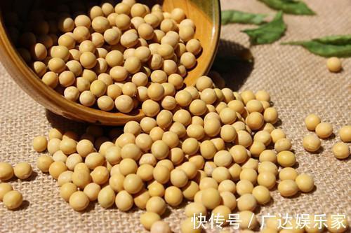 黄豆|教你个黄豆的新吃法，水里泡一泡，2年都不坏，比吃肉还香