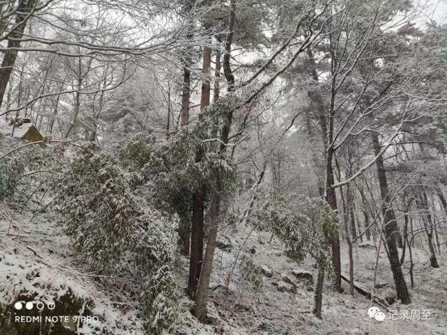 赏雪好去处！陕西黑河国家森林公园雪景和森林并存，风景美如画