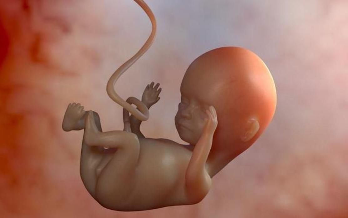 好孕|怀男孩的宝妈,身上有这4大特征,赶快接好孕吧!