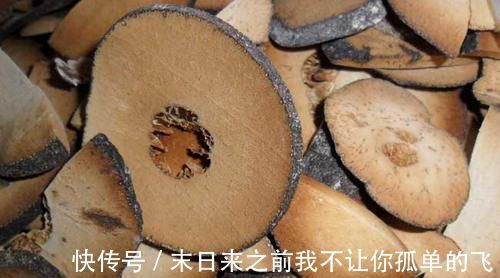 本草纲目|李时珍说它是“咽炎克星”,早晚喝一杯,清肺止咳,拒绝咽炎发作