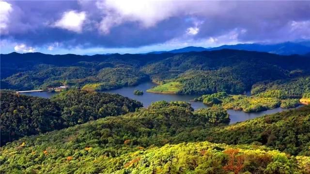 杜鹃|景东杜鹃湖，一座藏在哀牢山之巅的仙境