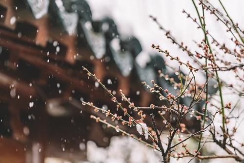 不到此间，怎知有雪香如许——拙政园之冬亭，雪香云蔚亭