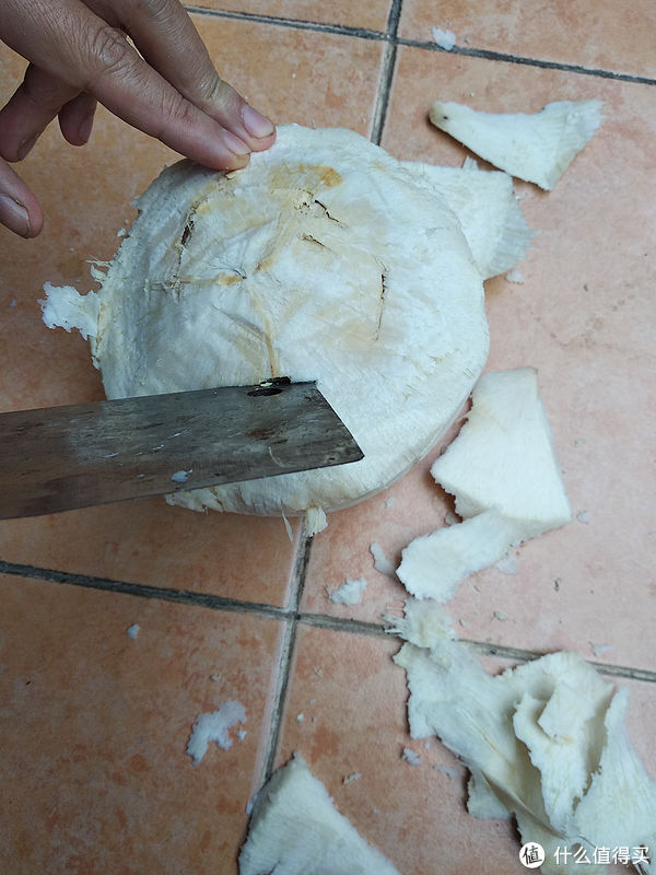 过年在家也能做的简单糖水炖品-椰子奶炖蛋