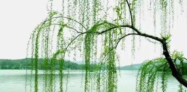 女婿!岳母对出此上联就让你回家,结果女婿留宿,下联至今无人能对出!