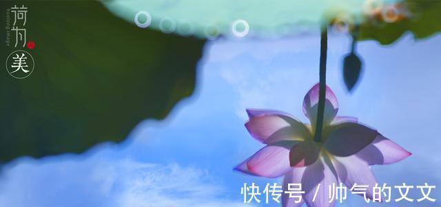 爱对方|桃花再开，旧爱回眸，桃花满天，两相思慕，相拥而泣