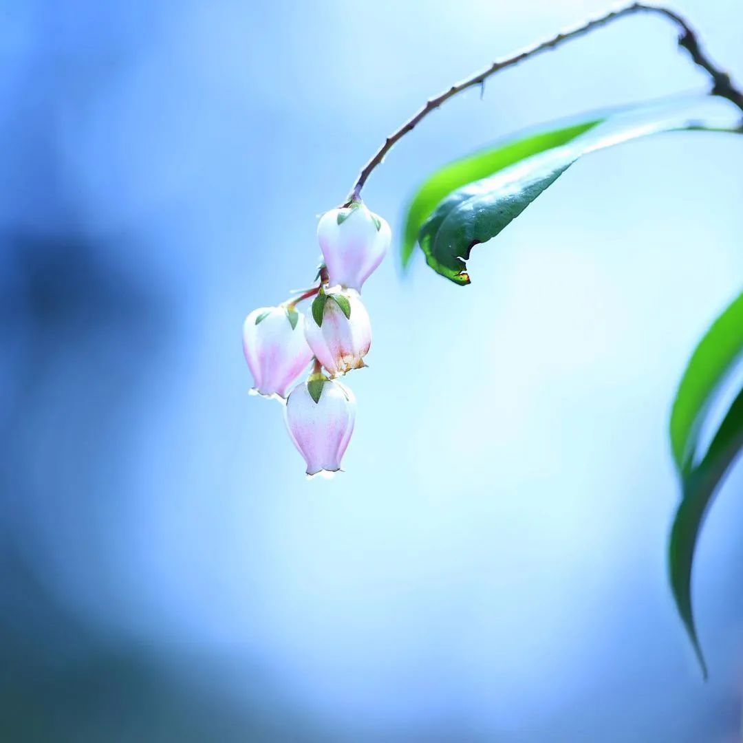 荐读|荐读——人生的最高境界,就一个字:给!