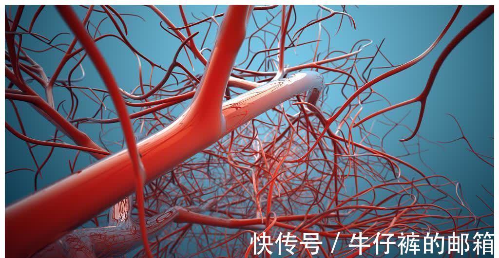 老年|老年人得了癌症后,可以承受几次化疗?化疗后还能活多久?