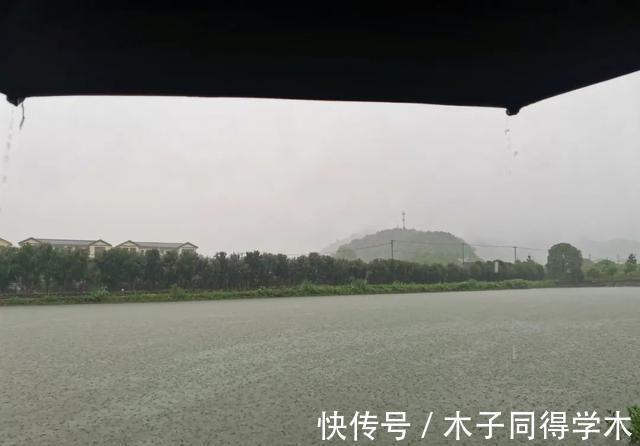 钓法|野钓走水老是“阴漂”怎么办?老钓友告诉你哪种的浮漂最好用