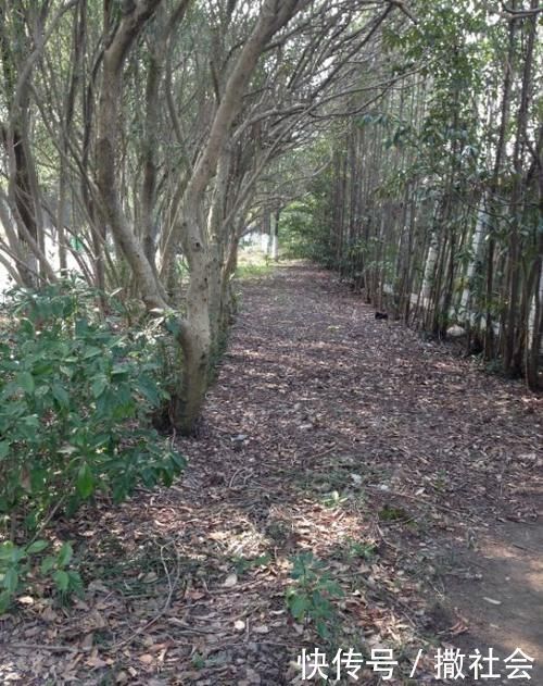 如果你有5个“坏习惯”，恭喜你，是养花高手！