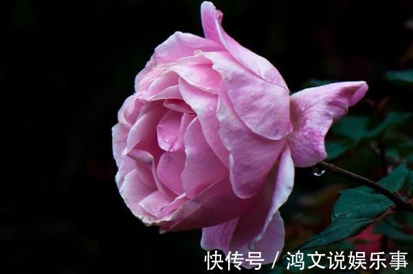 礼貌|人最大的教养,不是表面上的礼貌,而是4个“仁者无敌”的方式