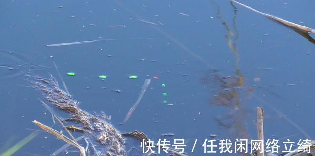 天气突然冷了,还以为钓不到鱼了,没想到比以前钓的还过瘾