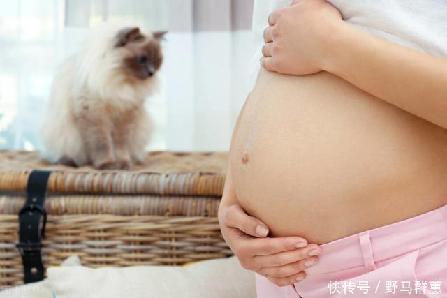 胎儿|玩手机对孕妇危害大这4种行为需警惕,以免导致胎儿发育异常