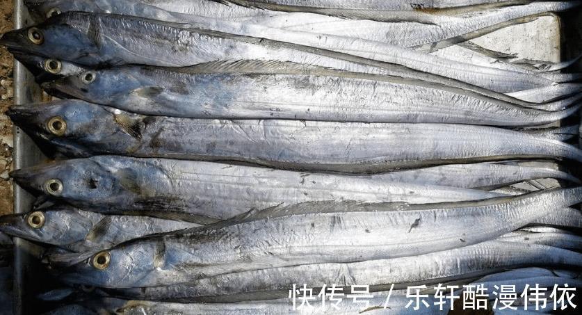 买带鱼，选肉厚的还是肉少的学会挑选技巧，买对带鱼做菜好吃
