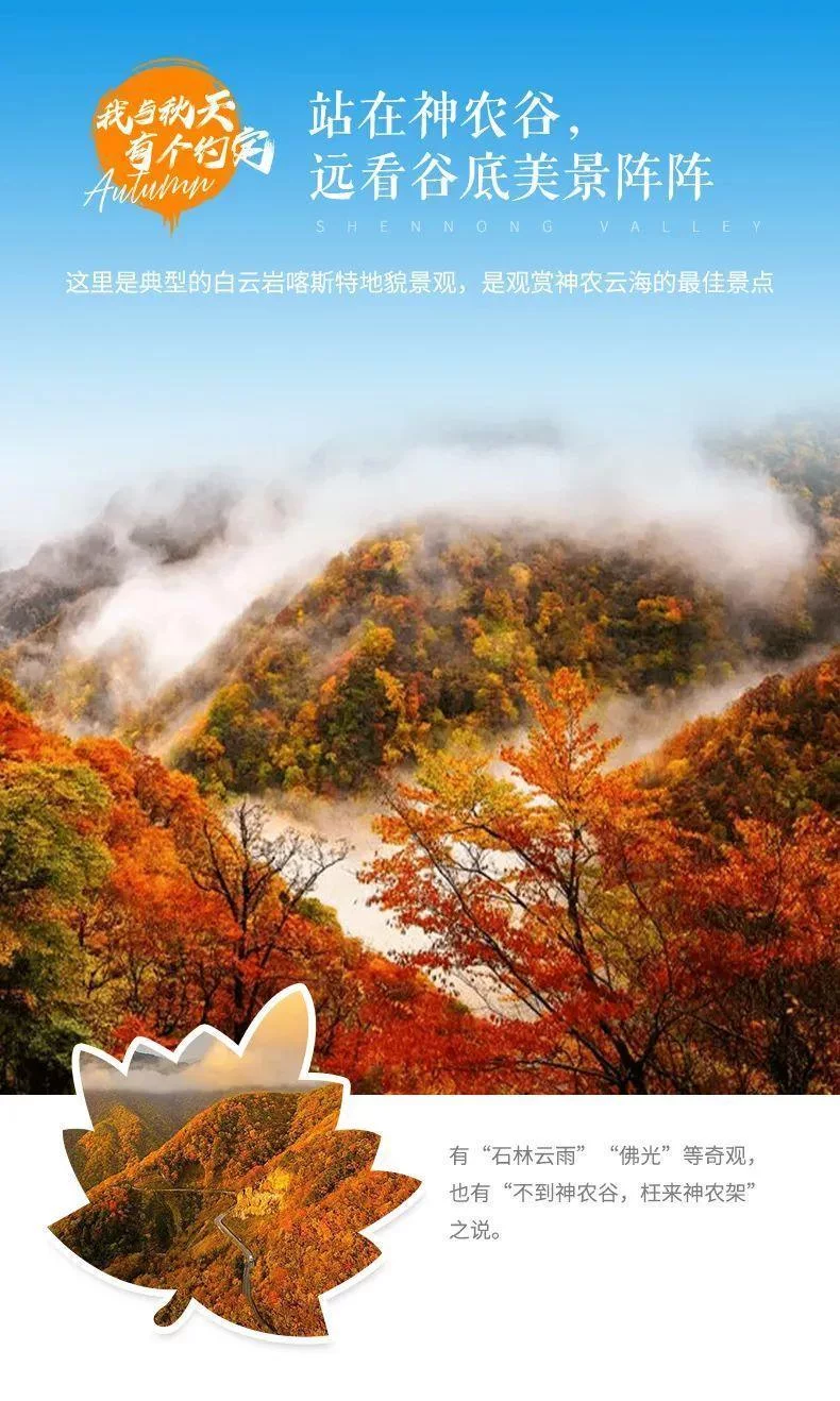 天下风物——《从国庆开始，神农架将迎来“华中屋脊”盛放的秋色！（二）》风光题照