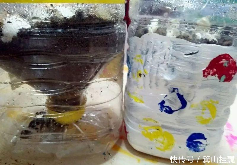 油桶|剩下的空油桶先别扔,教你变废为宝,半月不浇水也没事!