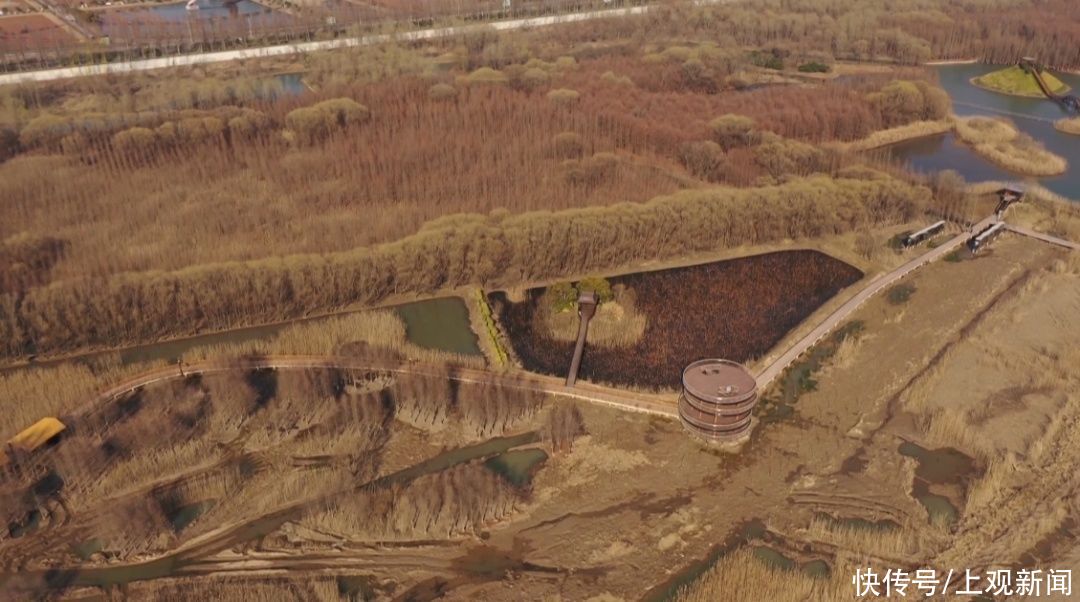 西沙湿地开园啦