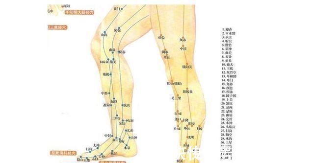 腿部|秋天是做腿的好季节，一双脚排出六条经络积滞垃圾，给你8大好处