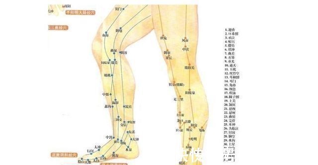 腿部|秋天是做腿的好季节,一双脚排出六条经络积滞垃圾,给你8大好处