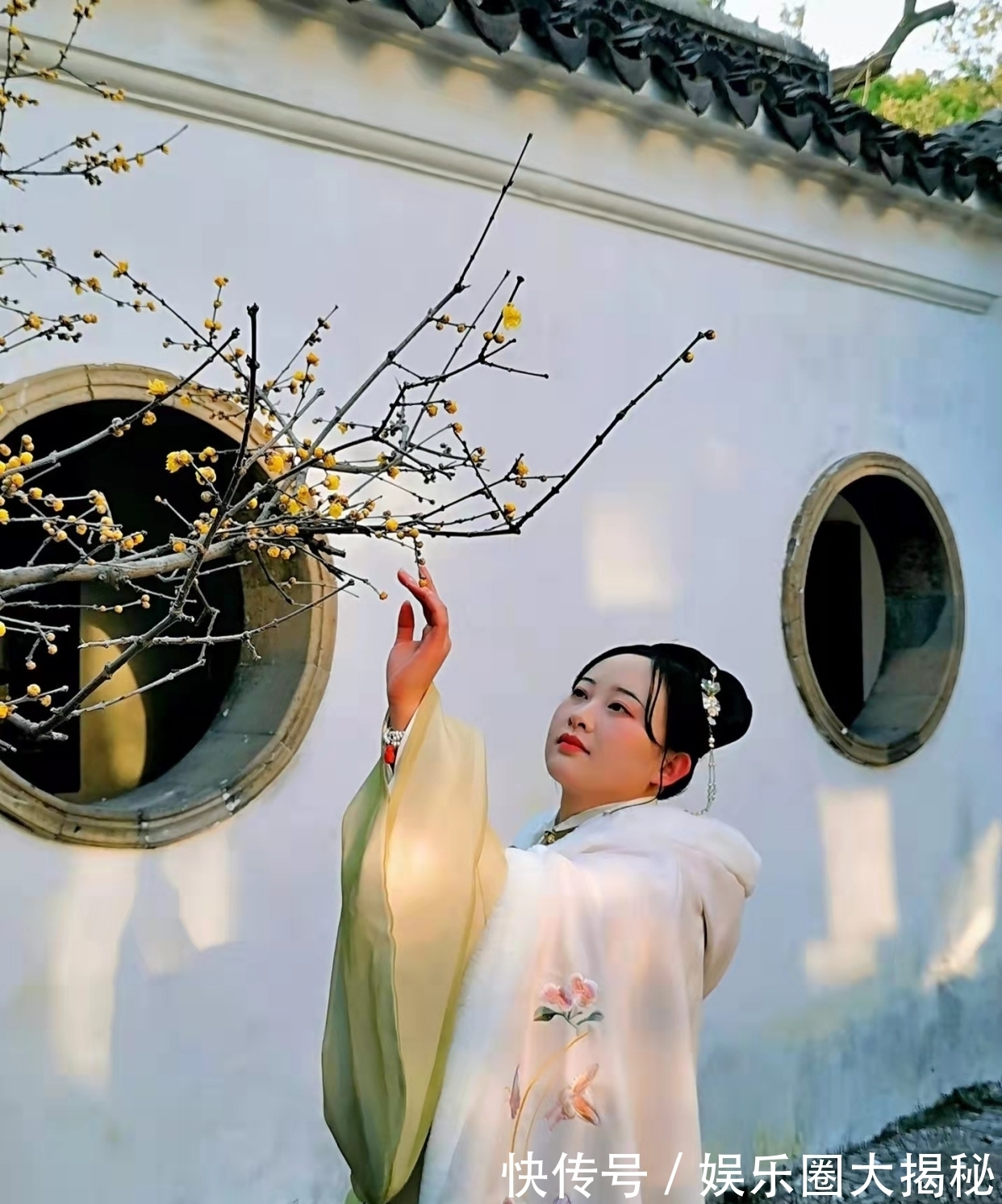 两地人@七言绝句:冬来昼短辞长夜,却见金梅竞艳开