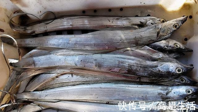 这4种海鱼值得大家一吃！比猪肉营养，独具鲜美还便宜，别错过！