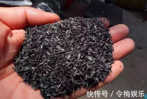 “养花杀手”通常都有的几个臭毛病,难怪养啥死啥,新手要留心了