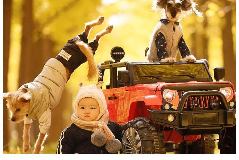 小孩们|家长应该容忍这些事情，只有适当忍耐之后，才有利于孩子成长