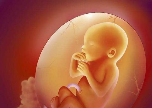 孕妇|孕期在这四个时间段喝水,羊水会更“清澈”,对胎儿发育好处多