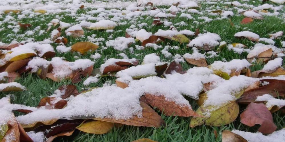 惊艳|注意！如皋初雪惊艳整个朋友圈！降温结冰，上班路上注意安全！