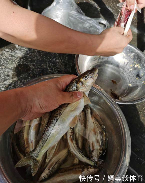 武陵山腹地现成群“奇鱼”,梭型无鳞,似从地下河游出