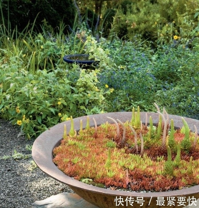 任何容器都能用来做花盆,请收好这30种美丽的花盆搭配设计