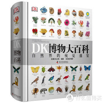 兴趣爱好|2021年暑期儿童畅销图书推荐