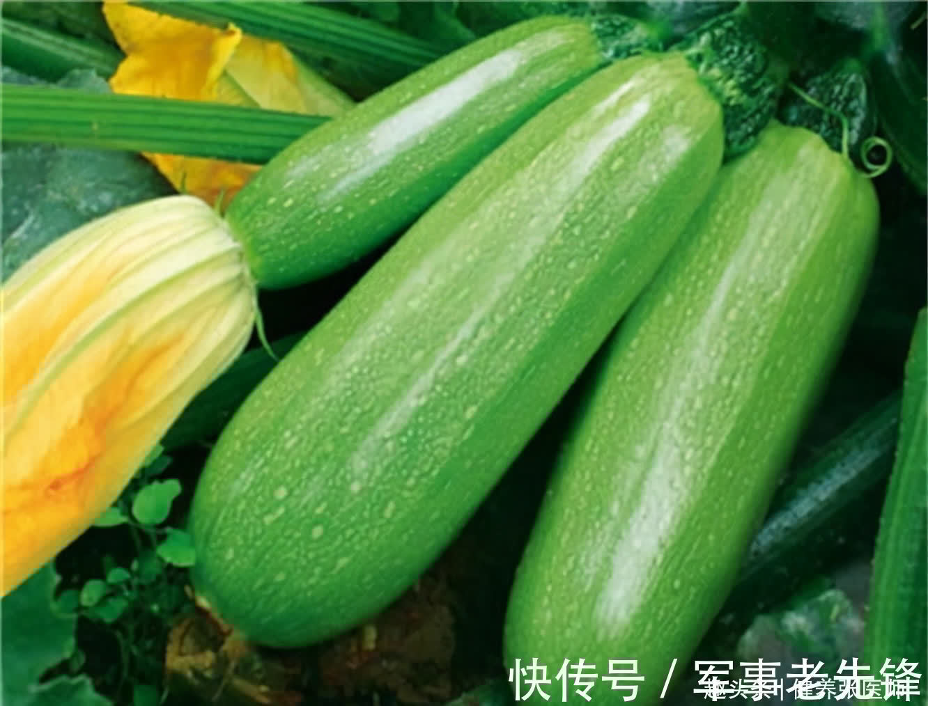 食物|秋天变凉了，坚持吃的好食物，促进排毒，补血养颜，提供免疫力