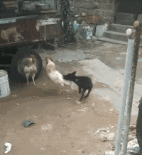 |搞笑GIF：你永远都猜不到 睡着后损友会对你做什么