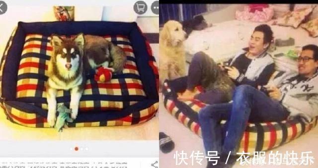 |史上最“搞笑”买家秀,第一个我就忍不住笑了,看到最后笑尿了