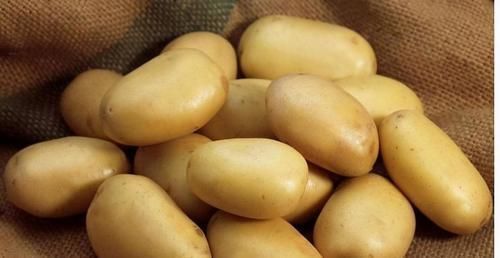 养胃|想长寿要先会吃,3种食物换着来,养胃健脾,帮助消化,好处多多