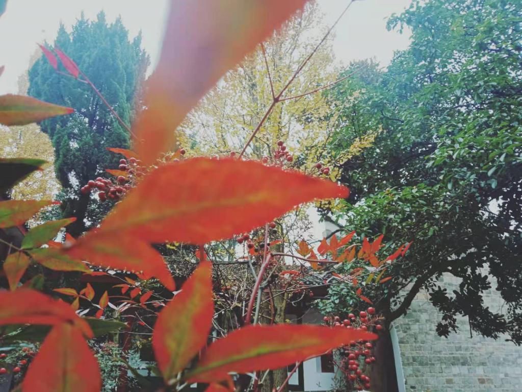  记住|记住乡愁栏目摄制组一行走进陶渊明纪念馆