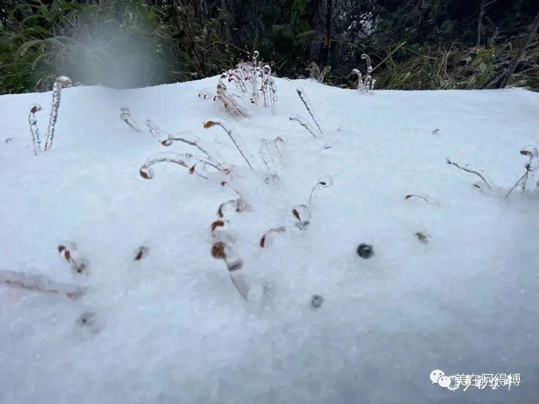 记忆 ｜寒潮再次来袭，还记得前几天的雪吗？