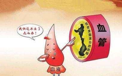 芦丁|它们是高血脂的“天敌”！40岁以后要多吃，清理血管还降血脂！