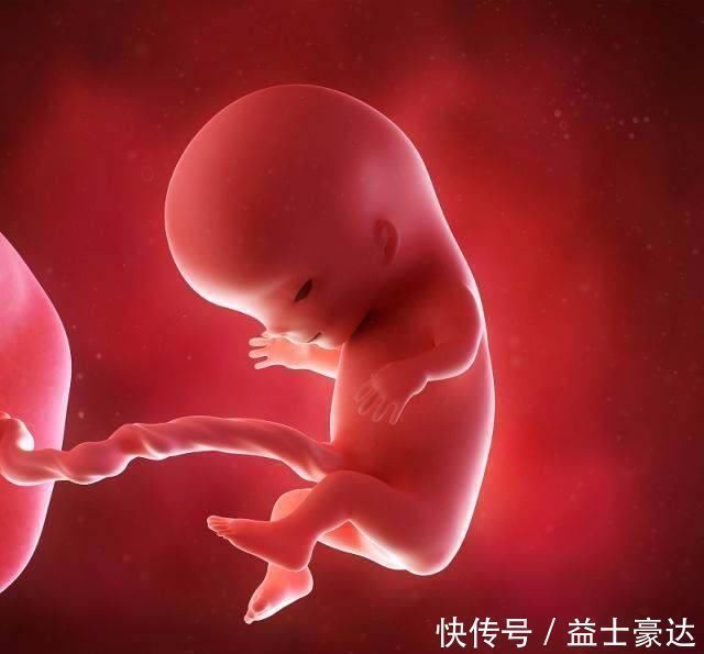 六七个月|孕期这3种声音胎儿会“受不了”，为了胎儿智力发育，最好离远点